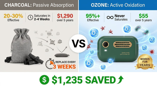 Charcoal vs Ozone: Which One Keeps Your Fridge Fresh Longer?
