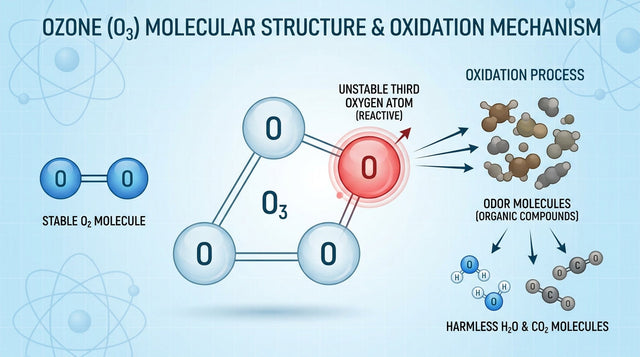 What Is Ozone and How Does It Remove Odor?