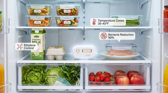 How to Keep Food Fresh Longer in Your Fridge
