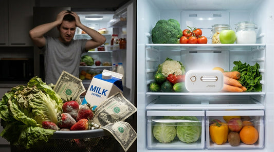Why Your Food Goes Bad Too Fast (And How to Fix It)